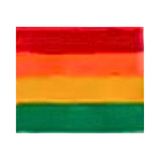 One Pair COACH Rainbow & Stripes Signature Calf Length Socks