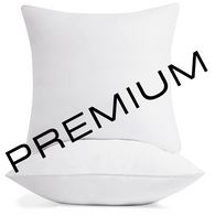 PREMIUM ---- 20X20 --- Standard Throw Pillow Inserts ---- Set of 2 (Shipped Separately)