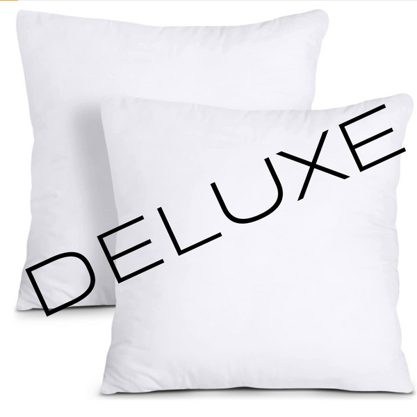 DELUXE ---- 20X20 --- Standard Throw Pillow Inserts ---- Set of 2 (Shipped Separately)