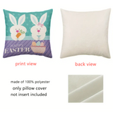 18X18 2 EASTER SEASON Throw Pillow Covers (*No Inserts) Velvety Feel "BUNNY SETS 3A or 3B"